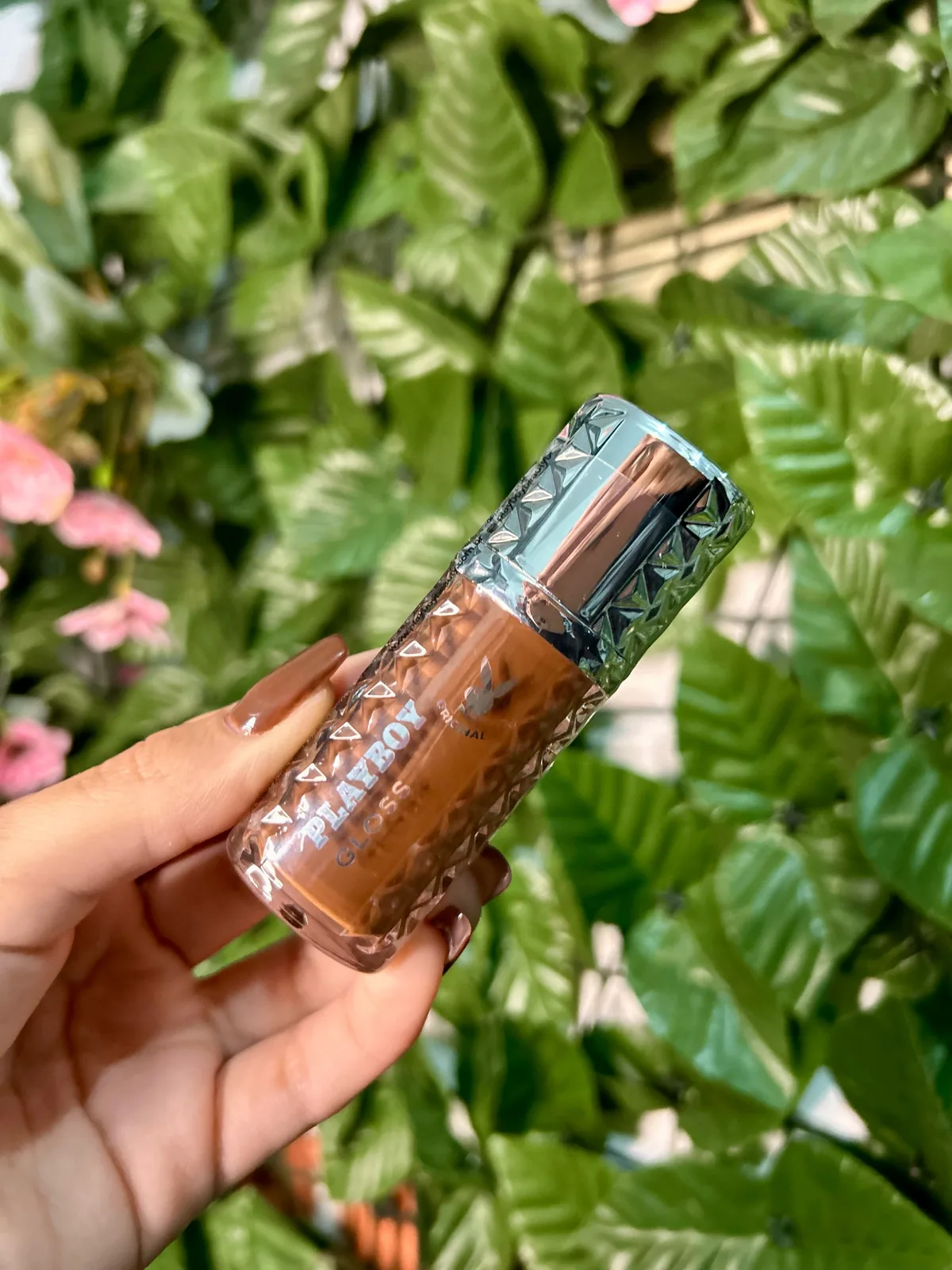 Gloss Marrom Playboy